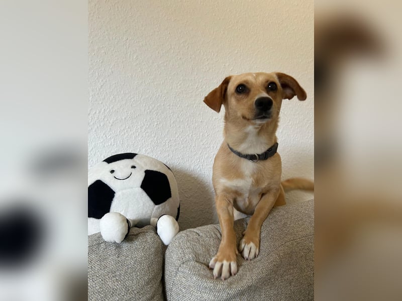 Eduarda auf der Suche nach ihrem passenden Zuhause