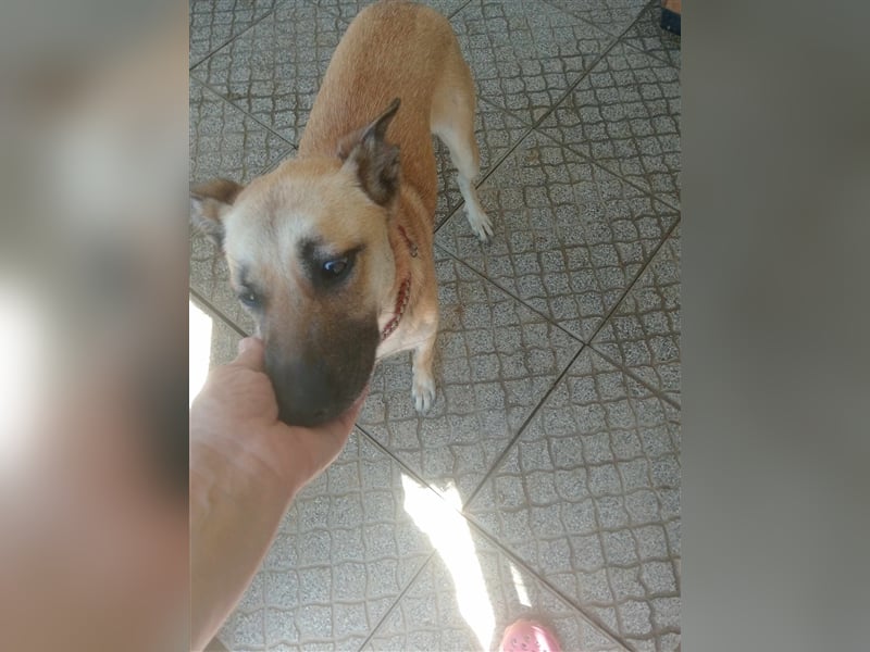 Liebe PRINCESA sucht ihr Traumkörbchen