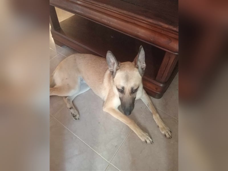 Liebe PRINCESA sucht ihr Traumkörbchen