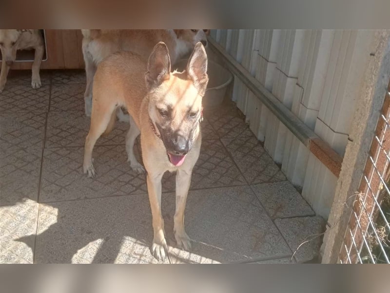 Liebe PRINCESA sucht ihr Traumkörbchen