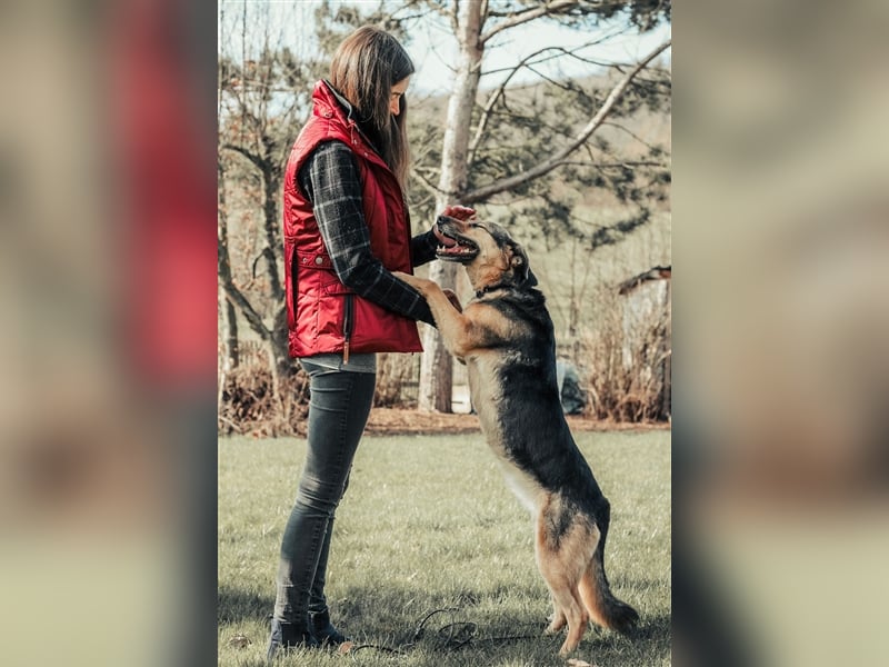 Verschmuste Senta sucht tolles Zuhause