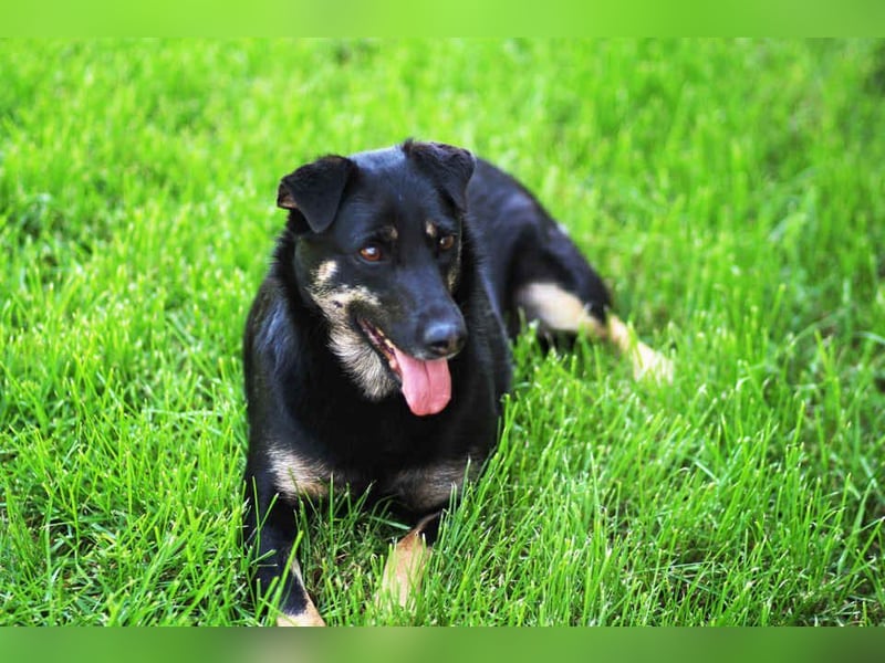 Menschenbezogene Lana sucht ihre Familie