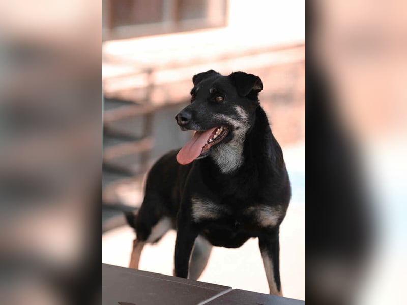 Menschenbezogene Lana sucht ihre Familie