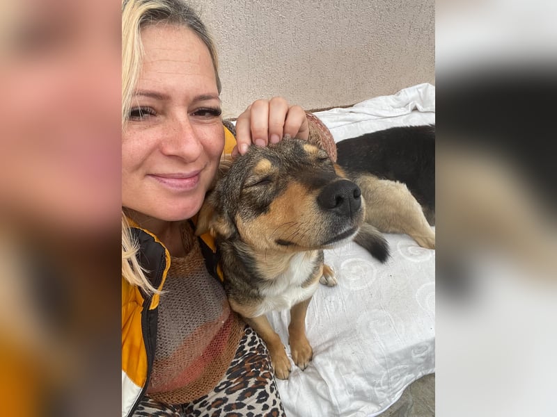 Maggie sucht liebevolles zu Hause