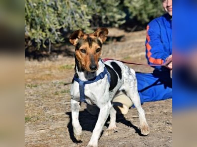VEGA-startklar für ihr neues Leben in ihrem Für-Immer-Zuhause