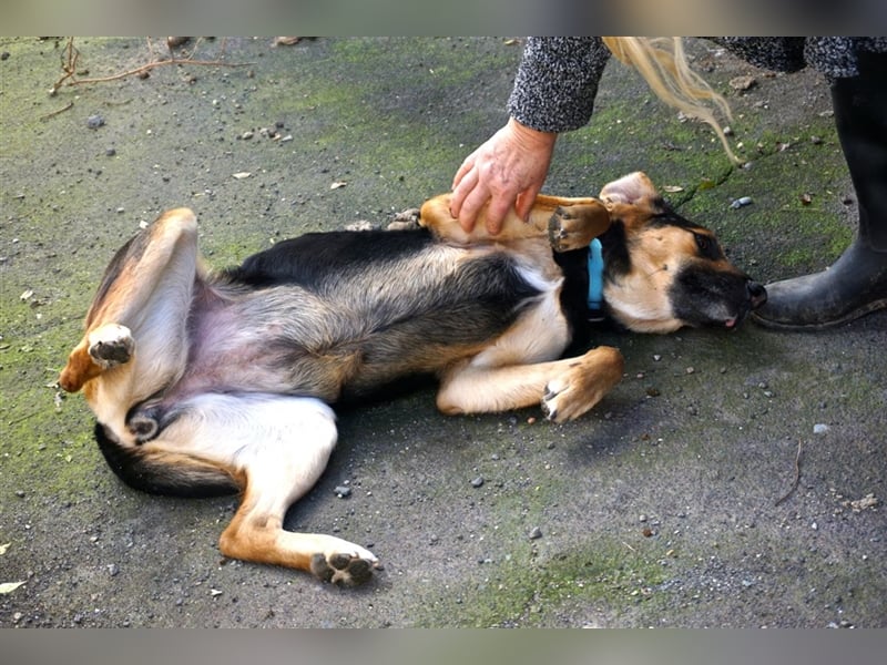 Hexi sucht ein neues Zuhause