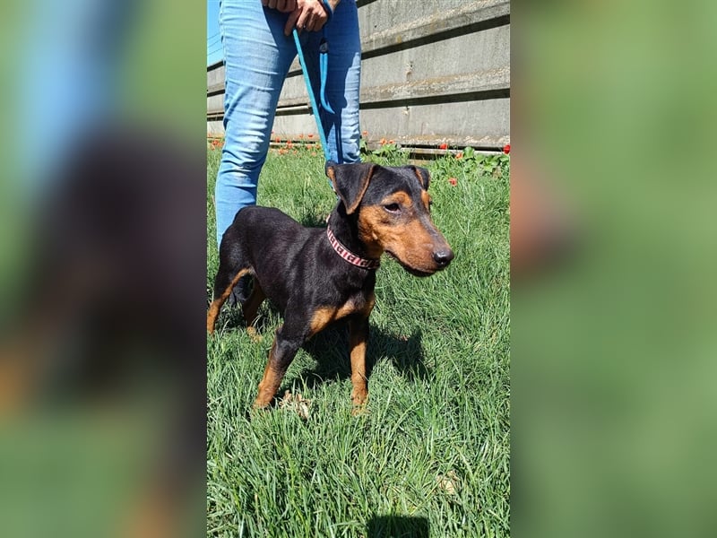 Die aktive Rozika sucht ihre Familie !
