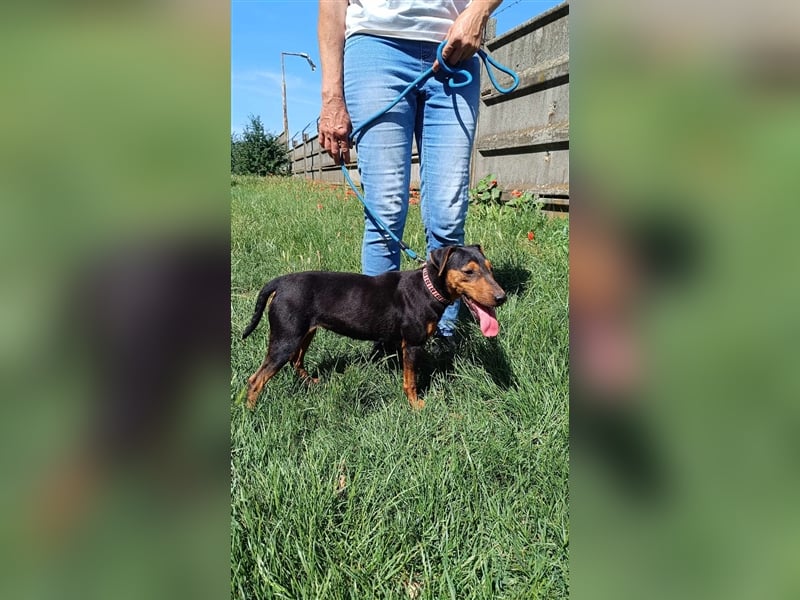 Die aktive Rozika sucht ihre Familie !