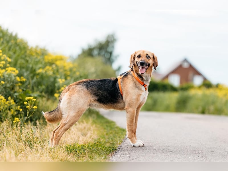 Menschenbezogene Lilo sucht ihre Familie