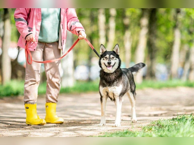 Frohnatur Lina sucht ihre Familie