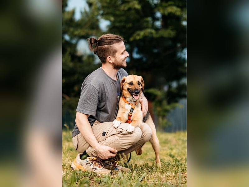 Menschenbezogene Lilo sucht ihre Familie