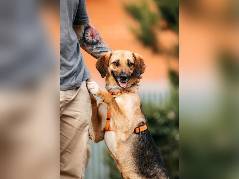 Menschenbezogene Lilo sucht ihre Familie