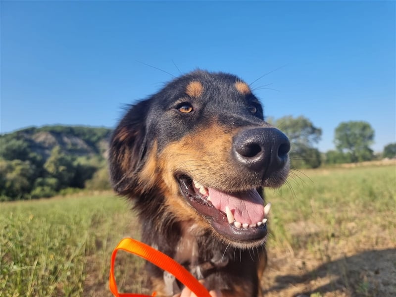 Kira - Wunderschöne sucht DICH!