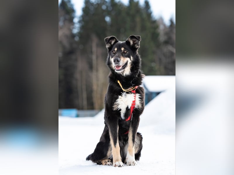 Soziale Sirena sucht ihre Familie