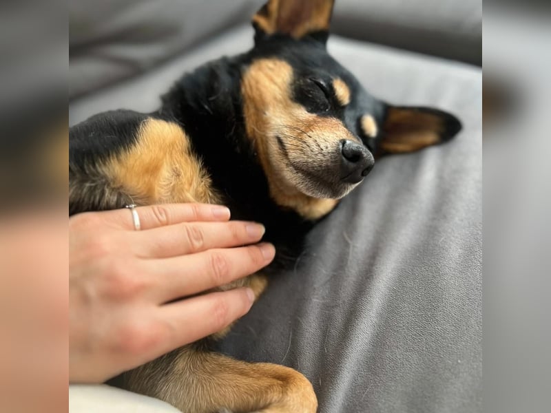 Kleine Sally