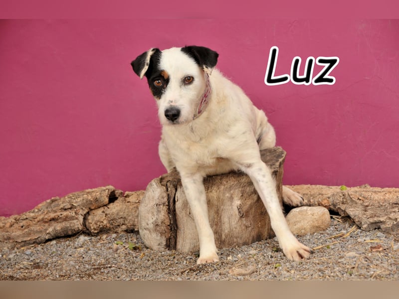 Öffnen Sie ihr Herz für Luz?