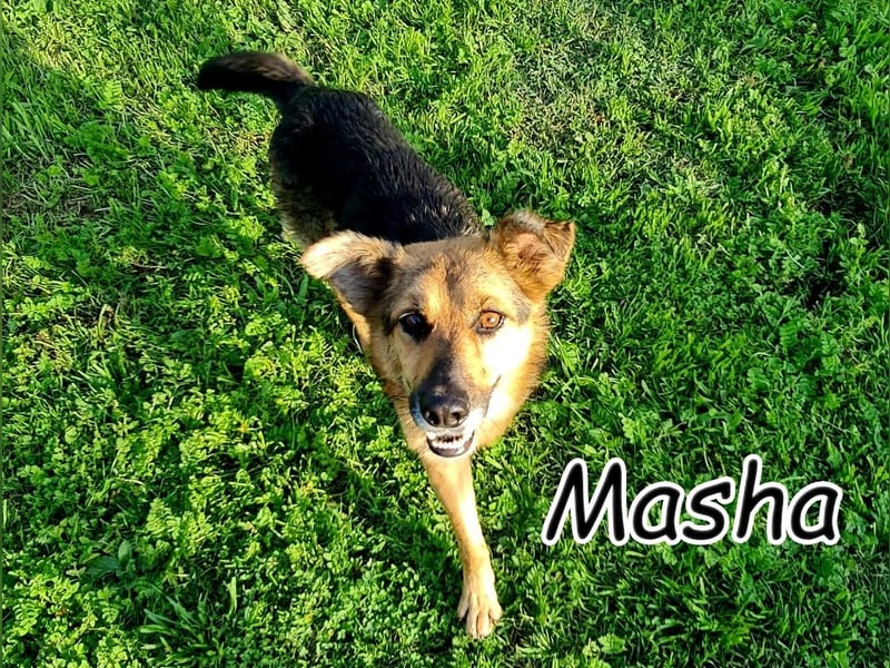Darf Masha nun ihr persönliches Paradies erleben?