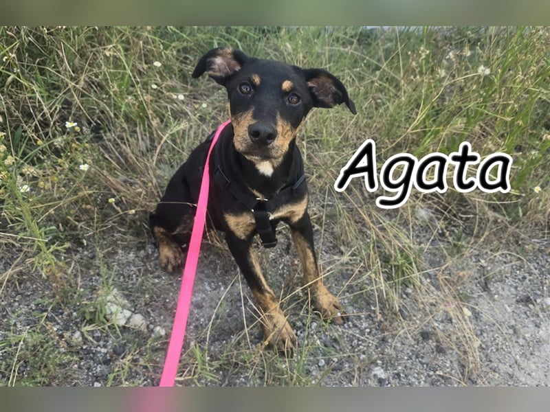 Können Sie sich vorstellen, Agatha die große weite Welt zu zeigen?