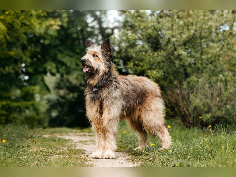 Verschmuste Maya sucht ihre Familie