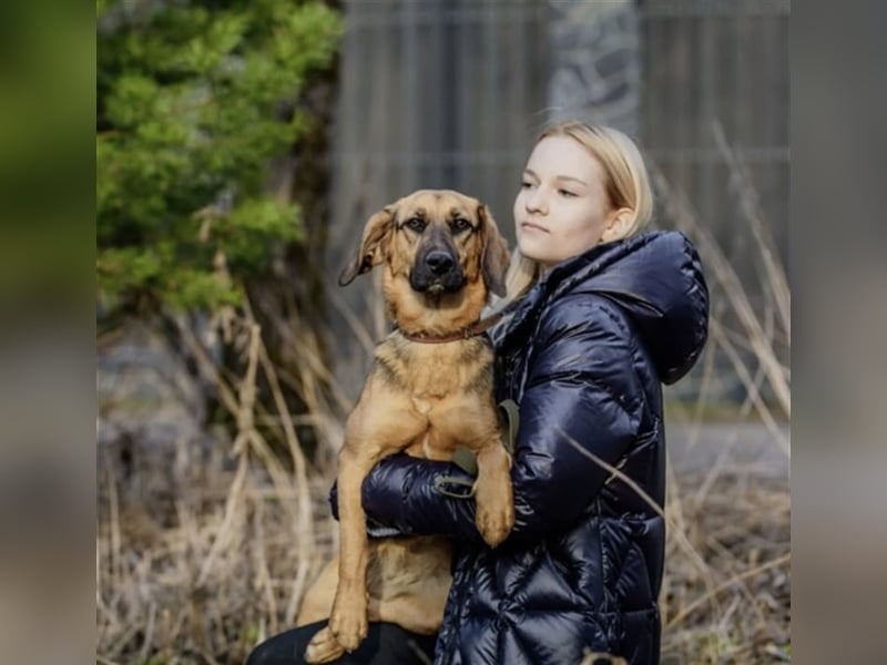 Manja - sanfte Hundeseele sucht liebevolle Familie zum Ankommen!