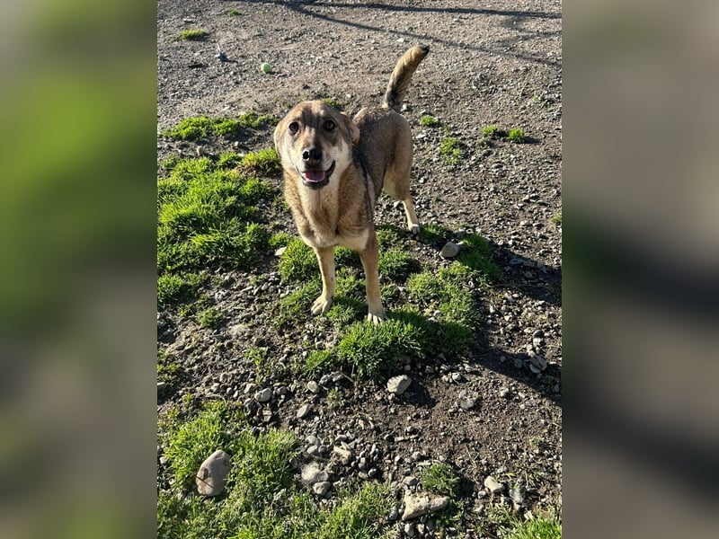 IMANI - Zuhause gesucht