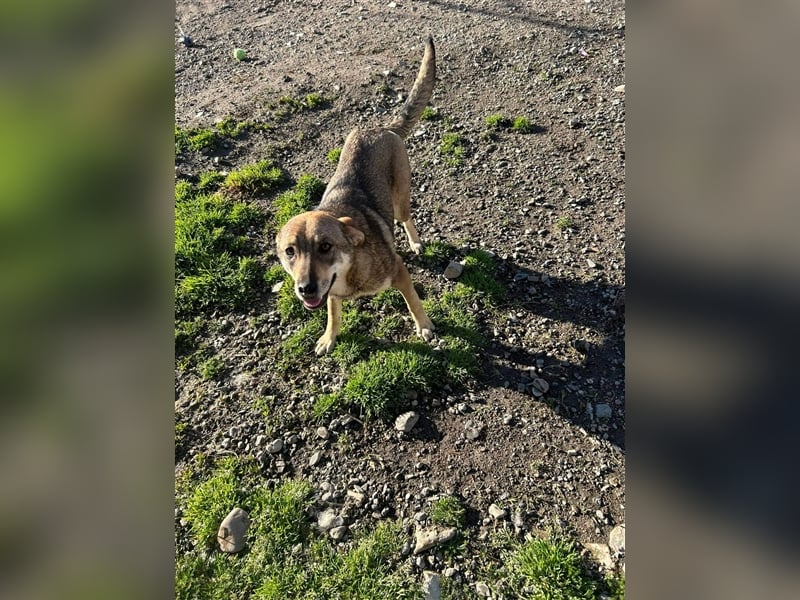 IMANI - Zuhause gesucht