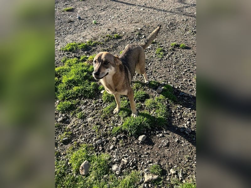 IMANI - Zuhause gesucht