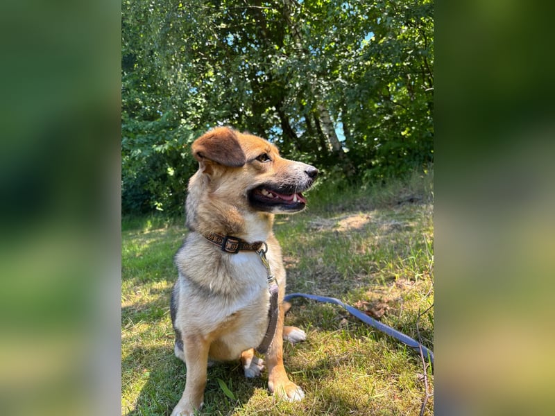 Bunny sucht ein tolles Zuhause