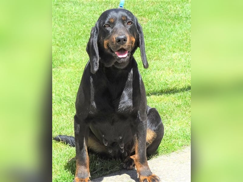 Lena, Brackenmischling