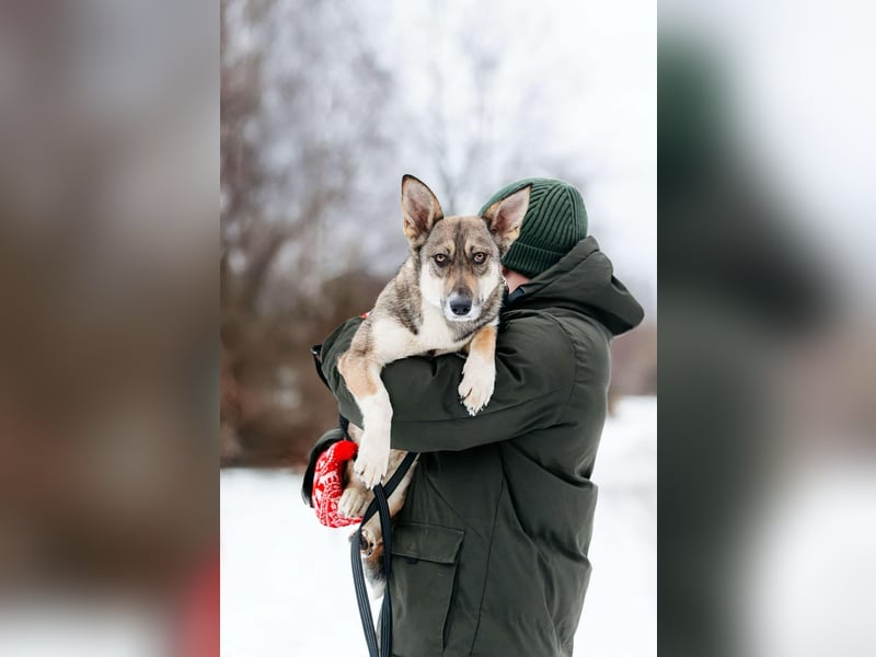 Fröhliche Fiona sucht ihr Zuhause