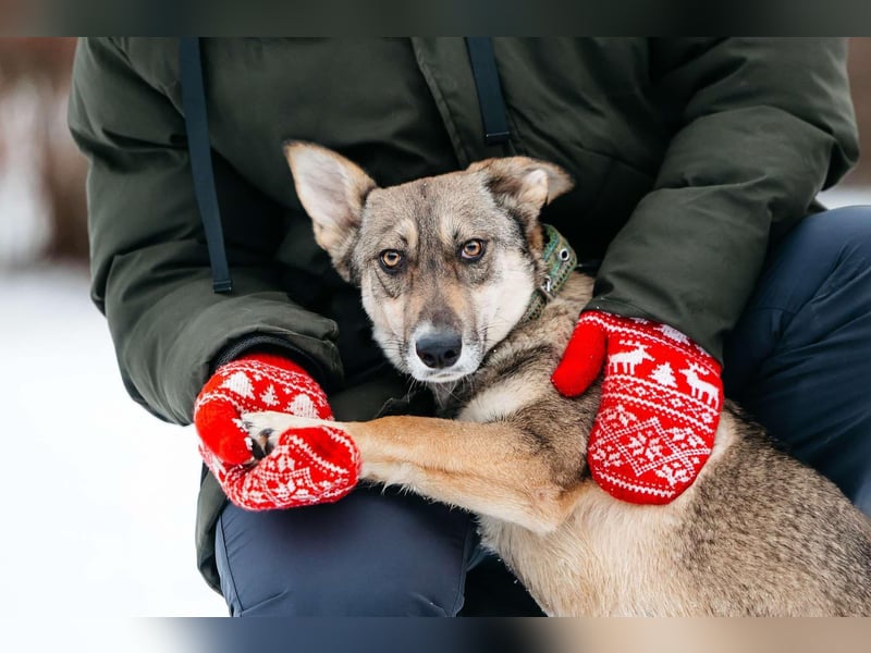 Fröhliche Fiona sucht ihr Zuhause