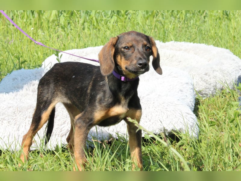 Macy unsere kleine Prinzessin...