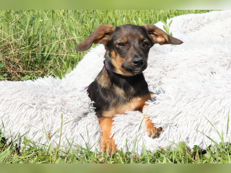 Macy unsere kleine Prinzessin...