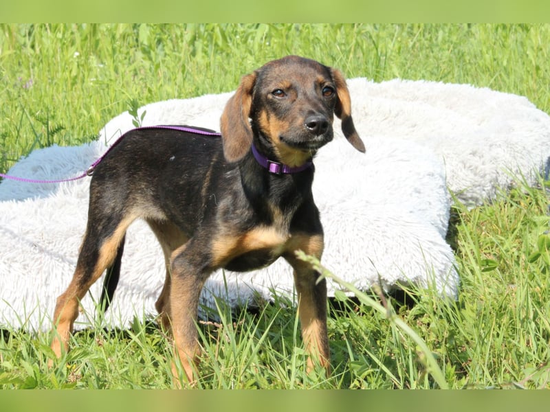 Macy unsere kleine Prinzessin...
