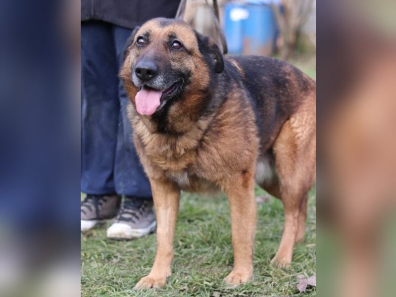 Einzelprinzessin Edna ❤️ sucht ihr Körbchen