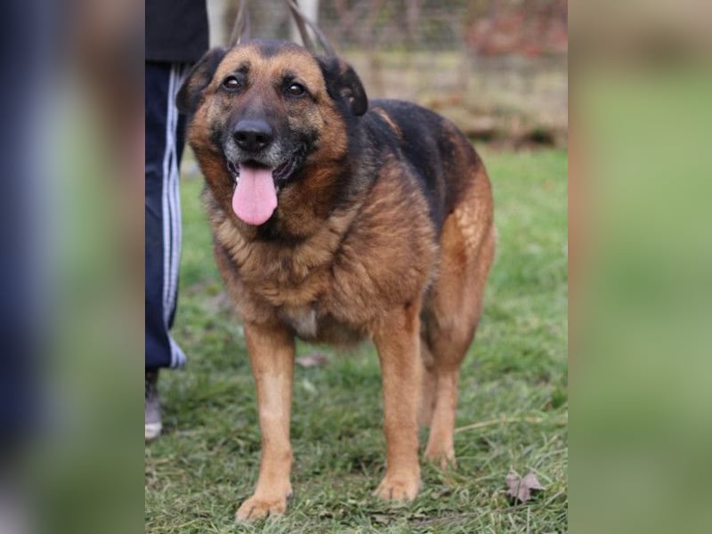 Einzelprinzessin Edna ❤️ sucht ihr Körbchen