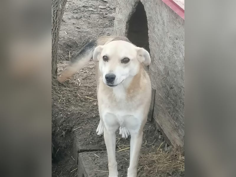Lupita - liebenswerte Seniorin