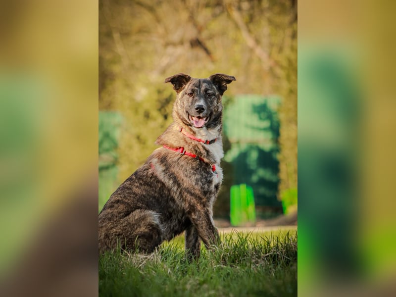FREYA, *geb. 08/2024 - wunderschönes Mädchen sitzt schon auf gepacktem Koffer