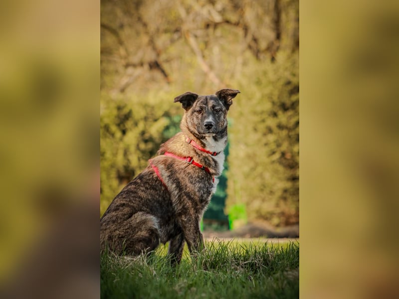 FREYA, *geb. 08/2024 - wunderschönes Mädchen sitzt schon auf gepacktem Koffer