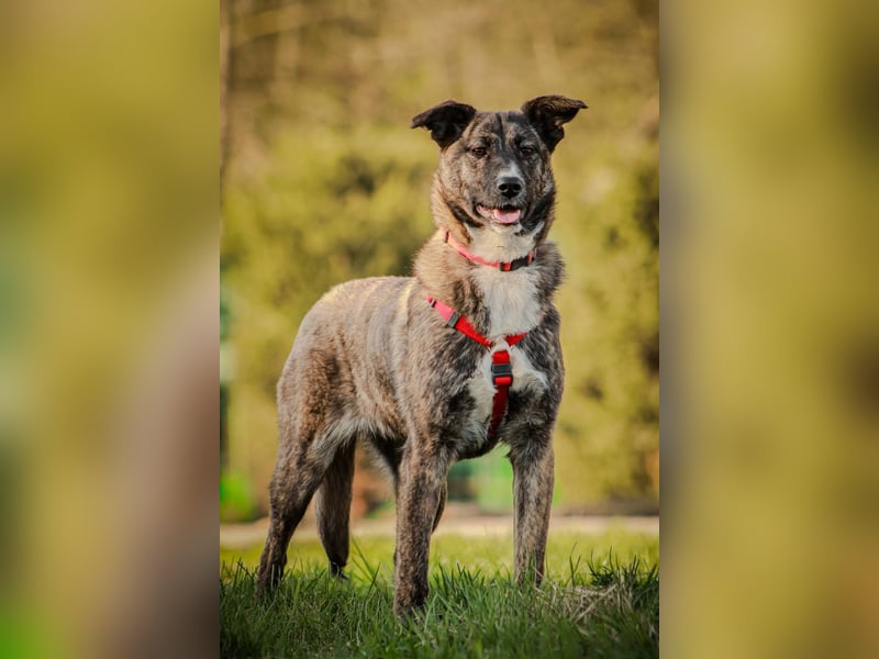 FREYA, *geb. 08/2024 - wunderschönes Mädchen sitzt schon auf gepacktem Koffer