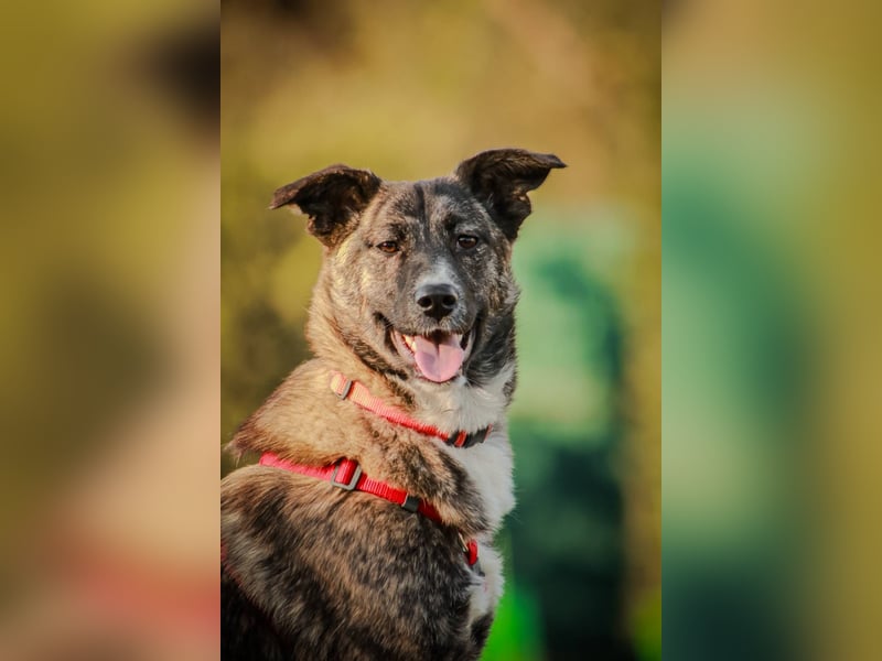 FREYA, *geb. 08/2024 - wunderschönes Mädchen sitzt schon auf gepacktem Koffer