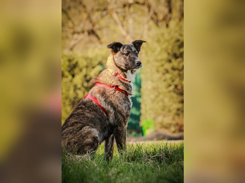 FREYA, *geb. 08/2024 - wunderschönes Mädchen sitzt schon auf gepacktem Koffer