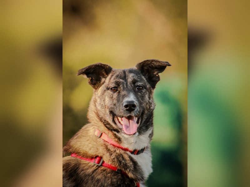 FREYA, *geb. 08/2024 - wunderschönes Mädchen sitzt schon auf gepacktem Koffer