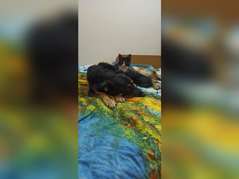 Besondere Michelle sucht liebevolles Zuhause