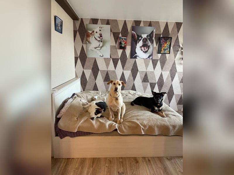 Besondere Michelle sucht liebevolles Zuhause