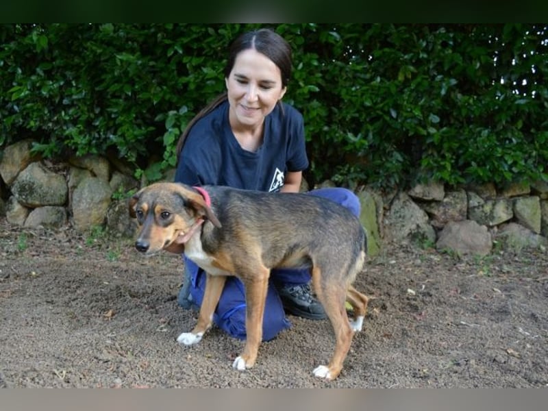 Johanne - Wunscherfüller gesucht