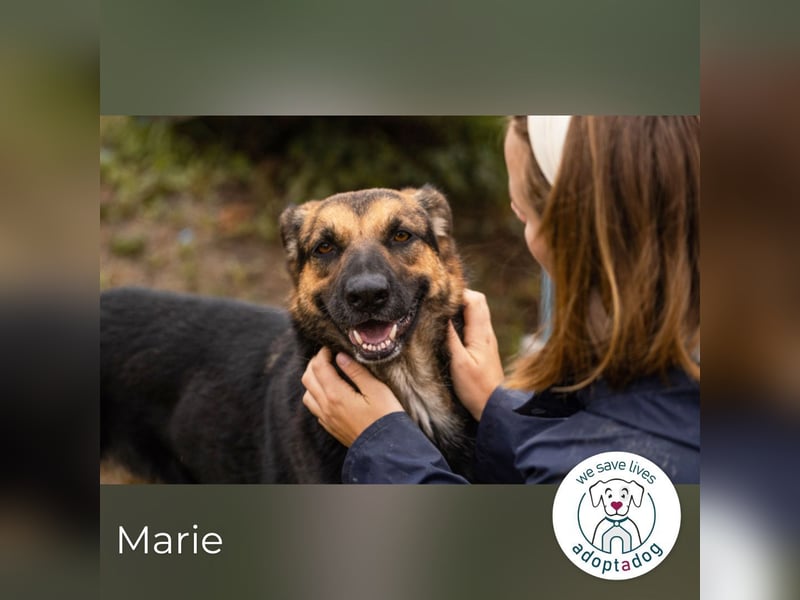 Marie: Die sanfte Seele