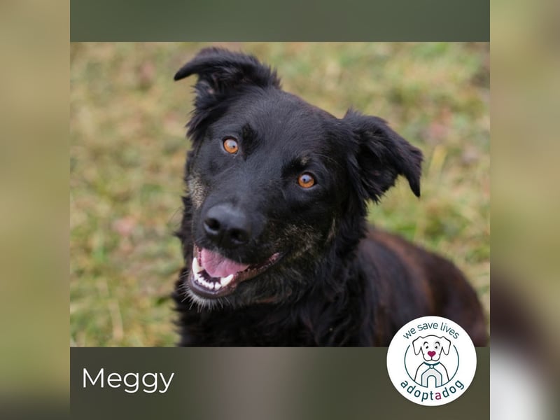 Meggy: Sucht ein Zuhause