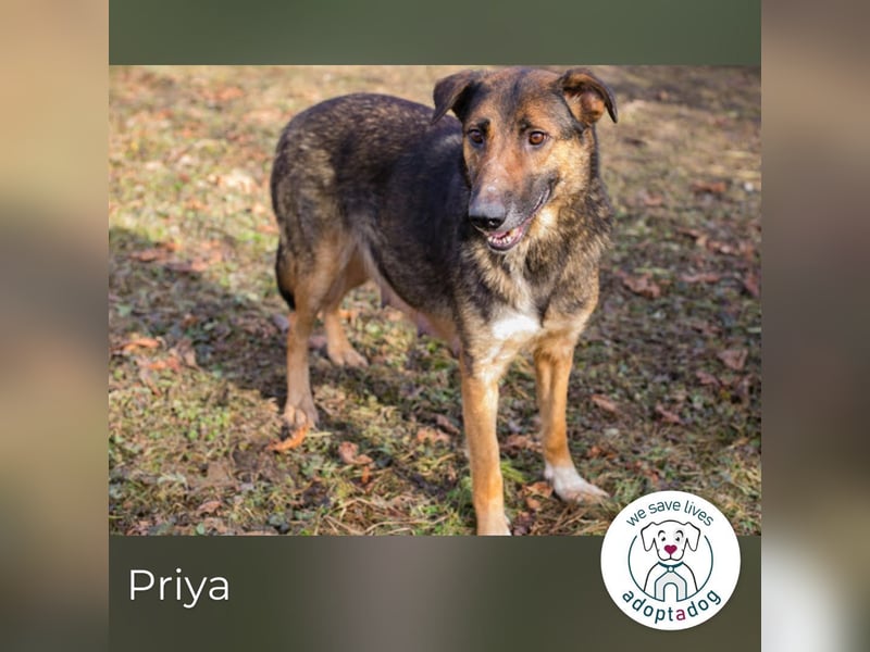 Priya: Schenke mir Liebe!