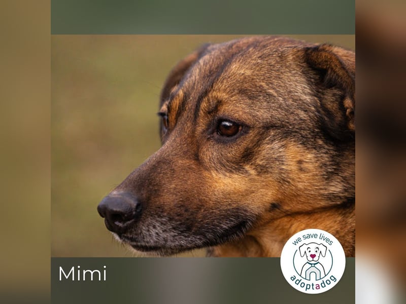 Mimi: Mit einem Lächeln ins Glück